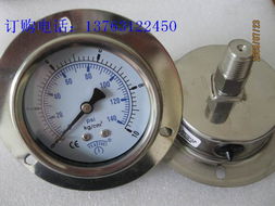 全不锈钢压力表 y100bf